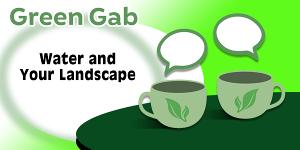 Water and Your Landscape